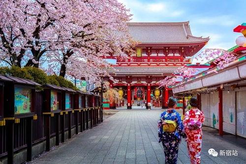 日本东京高清 magnet,高清Magnet带你探索都市风情
