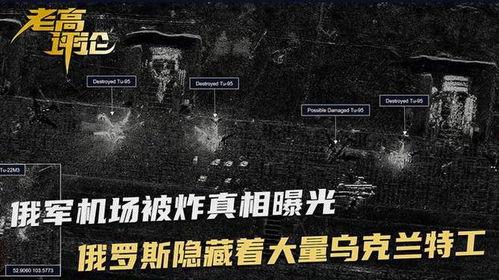大鹅爆料间谍视频在线观看,间谍视频在线观看，揭秘神秘情报行动