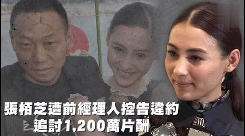 娱乐杂谈吃瓜,揭秘明星幕后故事